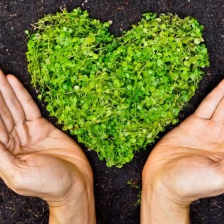 Environmental illness